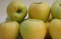 Яблоки в мультиварке рецепты